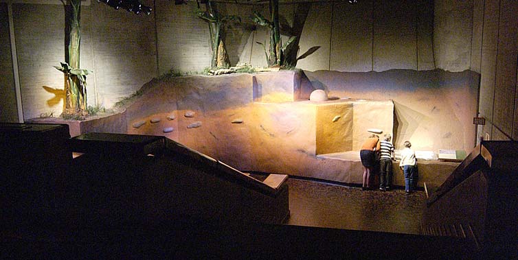 El Museo Del Oro Precolombino